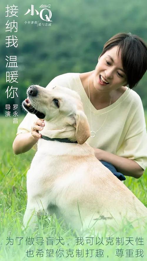 南伊利诺伊大学文凭毕业证怎么买到
